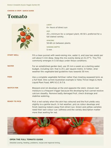 Tomato quick guide page listing light, pot size, spacing, sowing depth, water, feed and picking