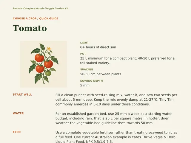 Real kit page: Tomato quick guide with light, pot size, spacing, sowing depth and watering