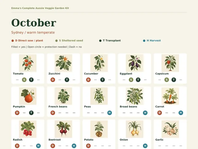 A real monthly page: October in Sydney, each crop marked sow, sheltered seed, transplant or harvest