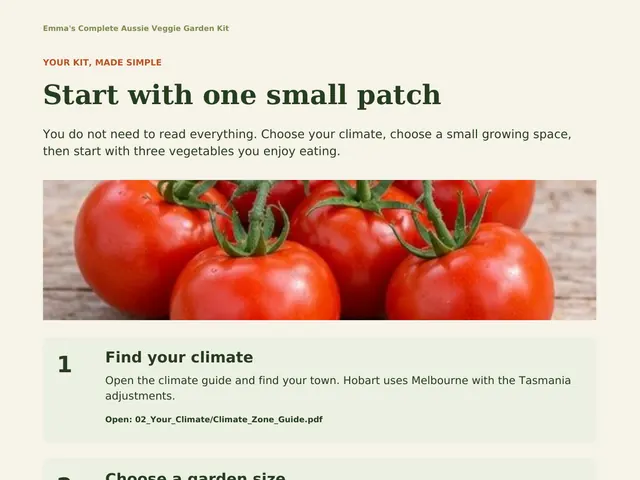 The real START HERE page: start with one small patch